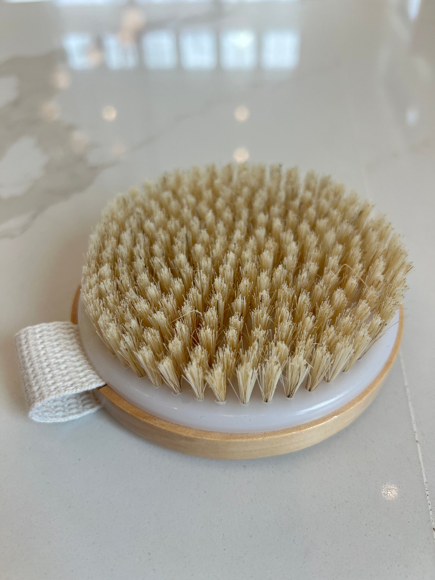 Loft Dry Brushes