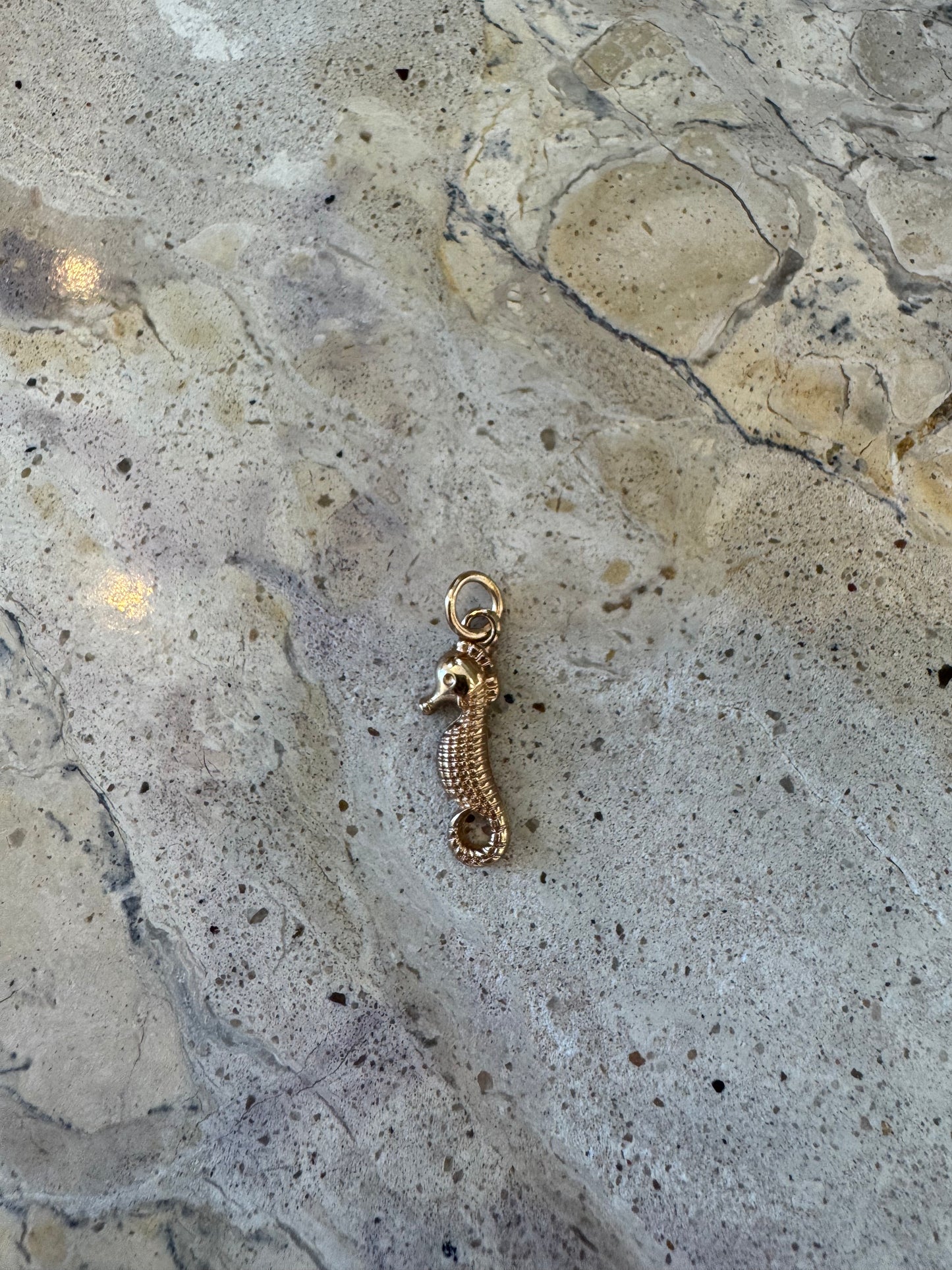 Seahorse Charm Large