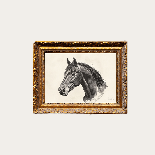 Stallion Sketch Gold Mould Framed Art