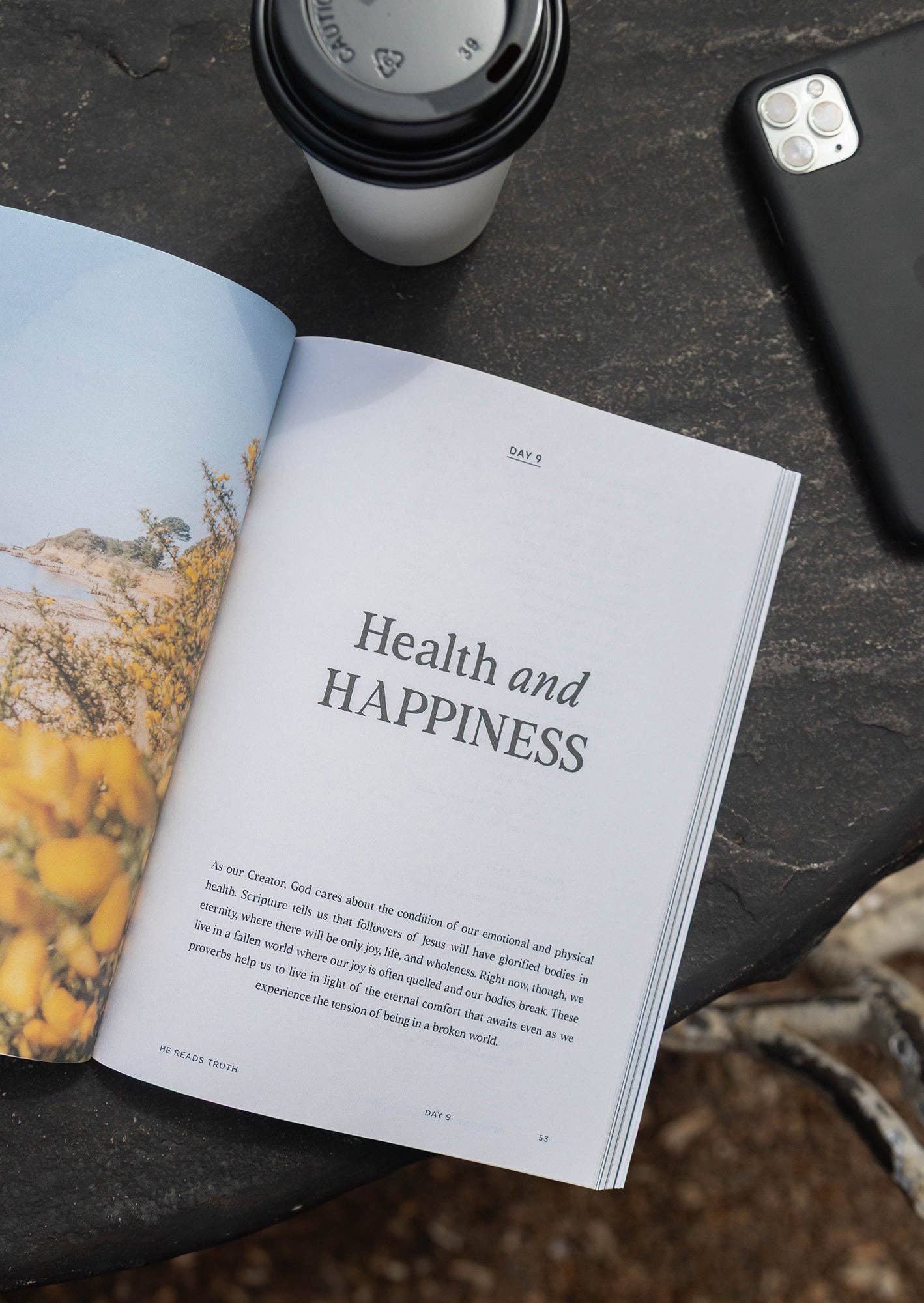 Proverbs: Walking in Wisdom Men's Reading Guide