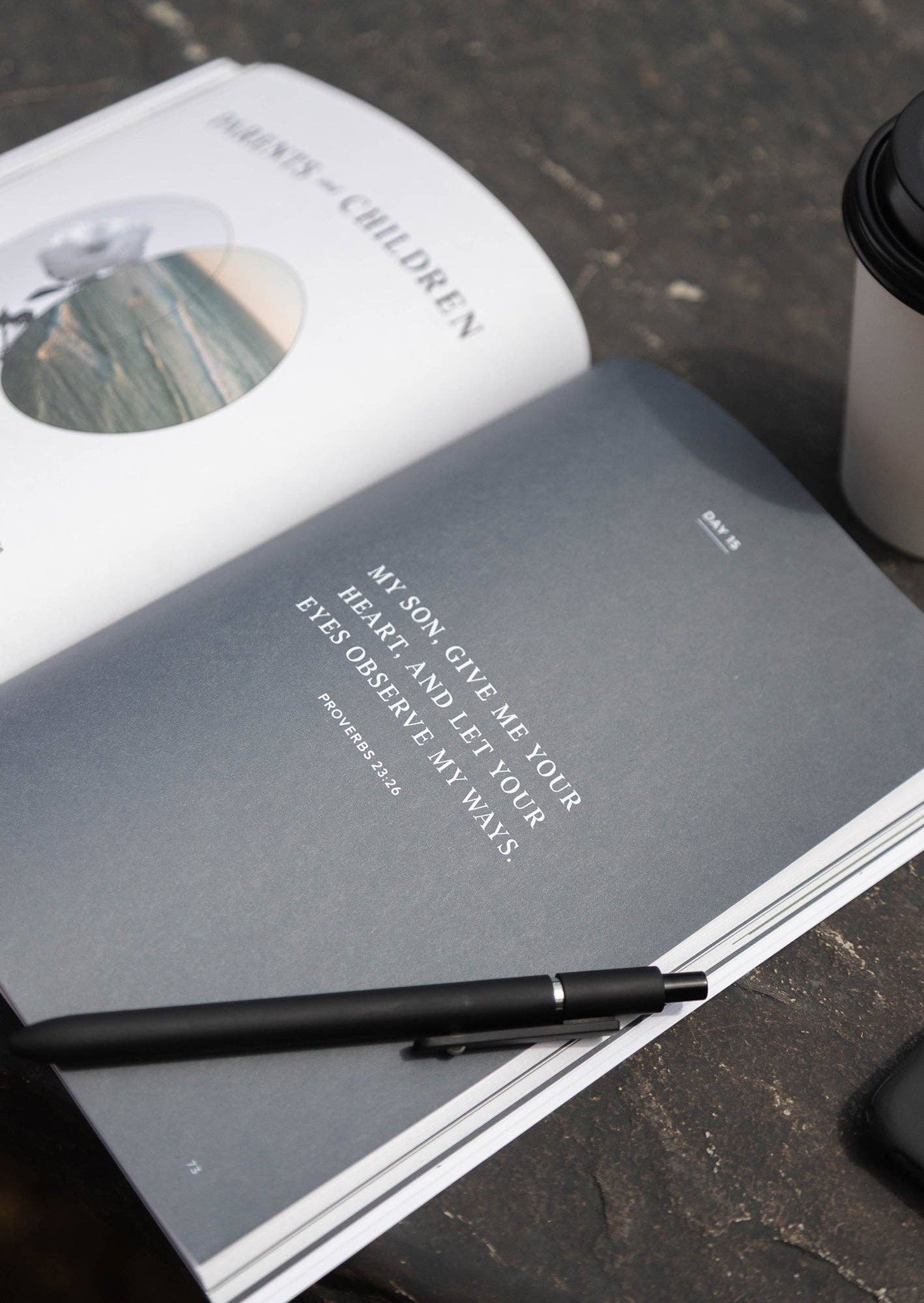 Proverbs: Walking in Wisdom Men's Reading Guide