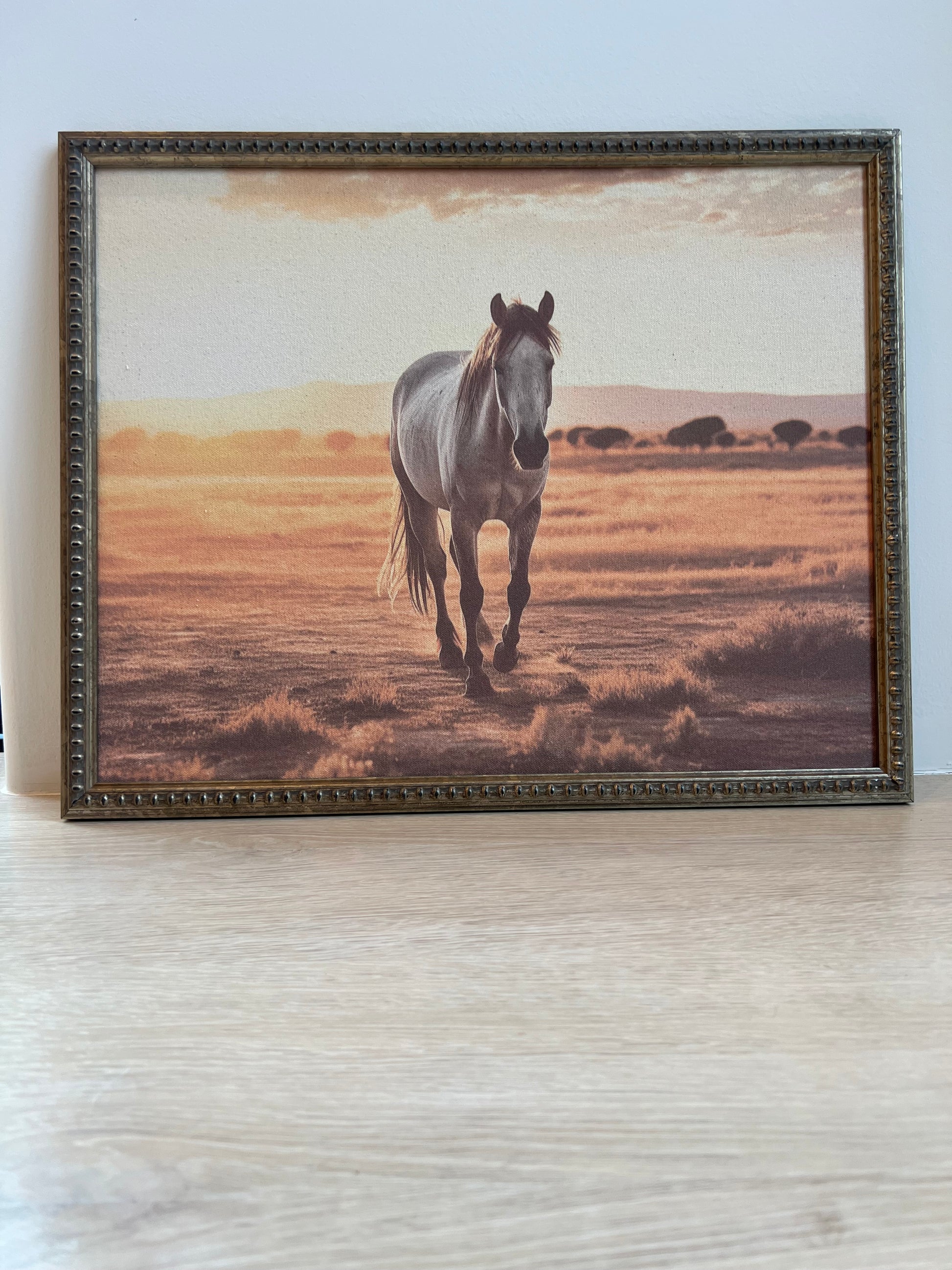 Framed picture of a horse with a wooden frame.