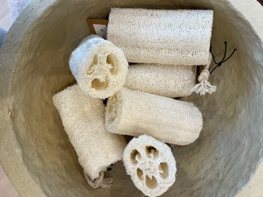 Loofah Brush Sponge w/ rope