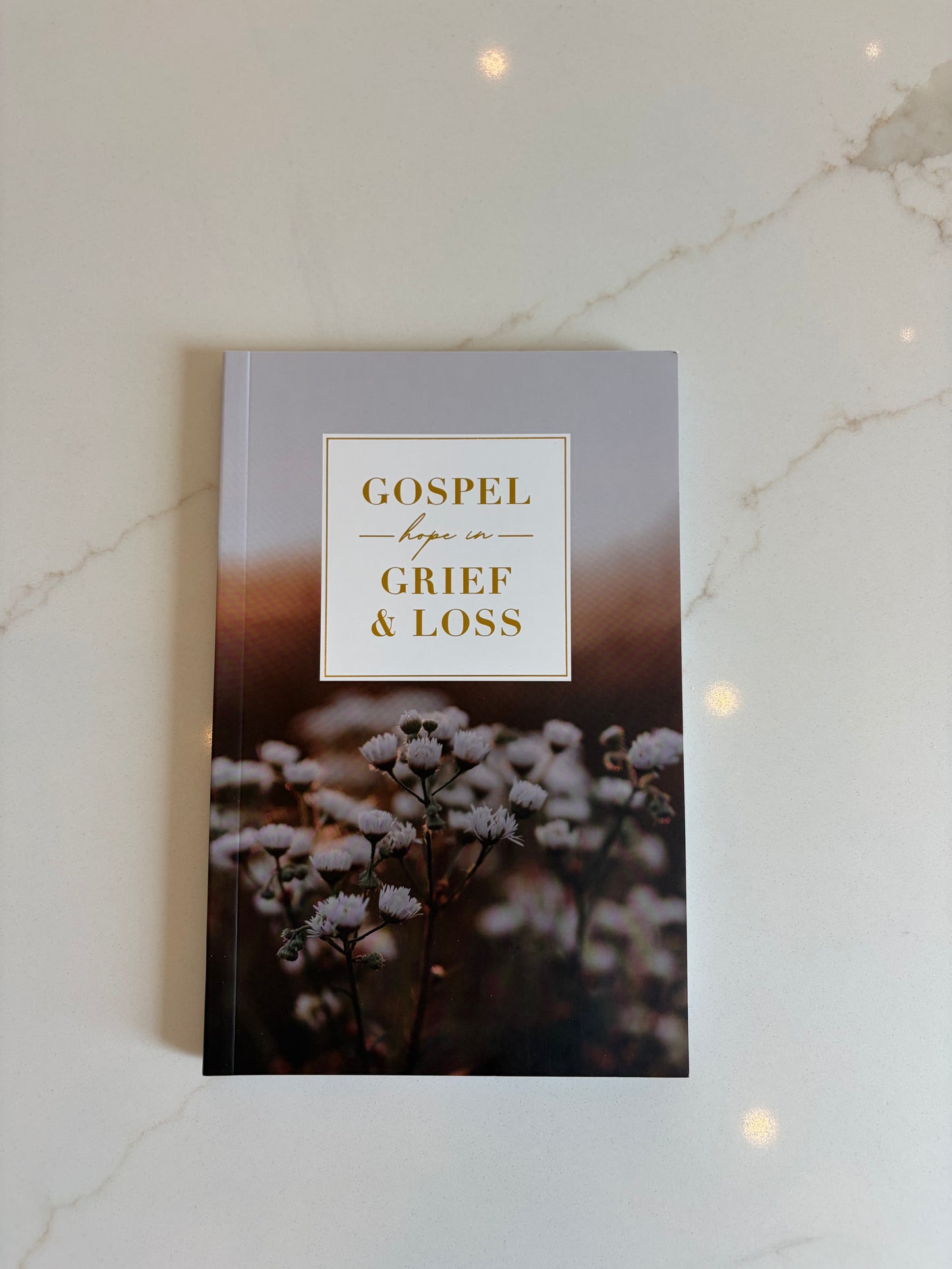 Gospel hope in Grief and Loss