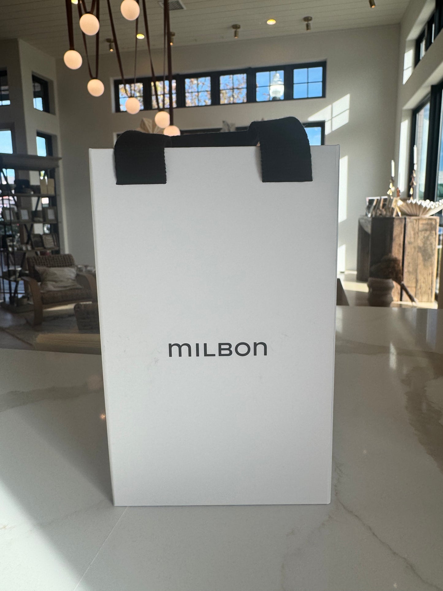 Milbon Blonde Plus Shampoo and Conditioner Gift Set