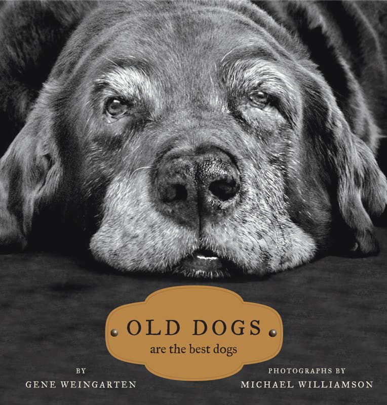 Old Dogs by