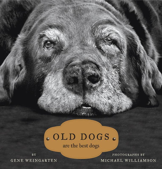 Old Dogs by